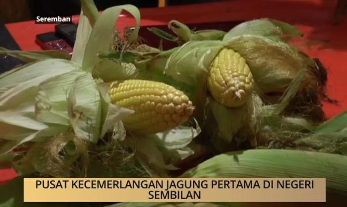 AWANI - Negeri Sembilan: Pusat kecemerlangan jagung pertama di Negeri Sembilan