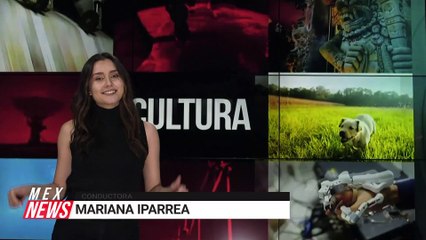 NORUEGA PROHÍBE CRIAR A 2 RAZAS DE PERROS