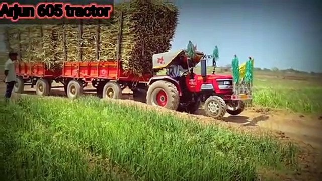 Mahindra Arjun 605 pulling loading trolley