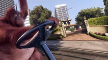 POV- It's 2013, and you're cruising around Los Santos