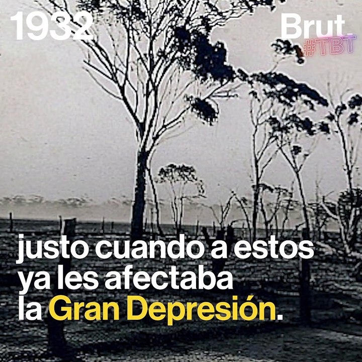 #TBT: La guerra contra los emús 