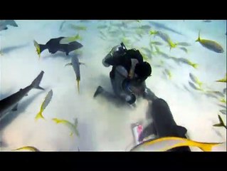 Tiburón, en las garras del hombre Clip (4)