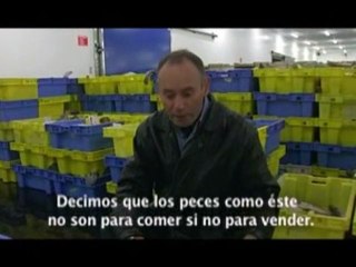Nosotros alimentamos al mundo Tráiler