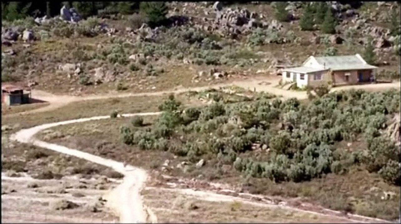 Desgracia Tráiler