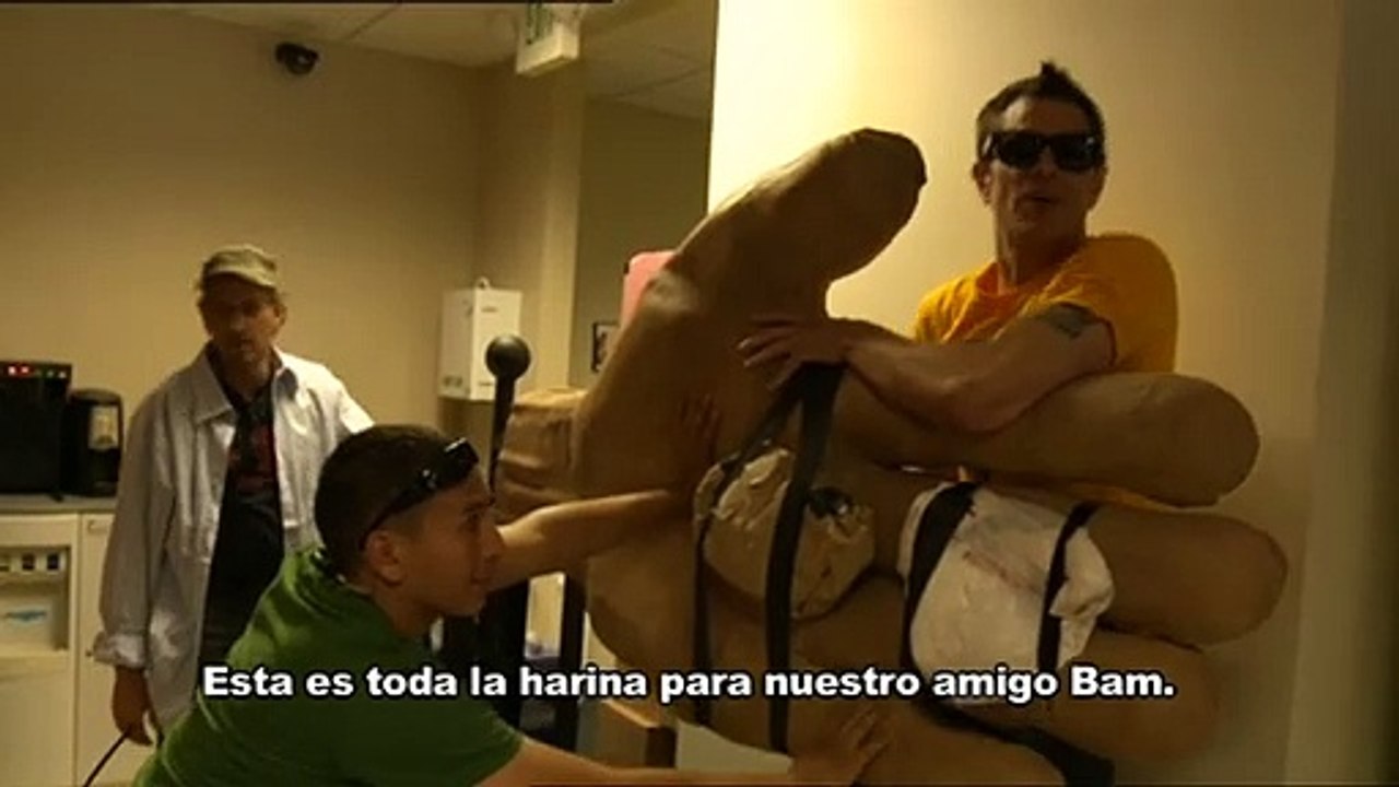 Jackass 3D Clip VO