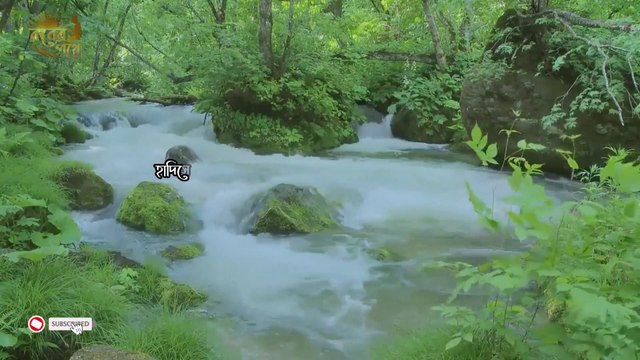 যে দোয়া পড়লে জীবনের সব গুনাহ মাফ হয়ে যায় | তাওবা করার নিয়ম | আমল টি জেনে নিন | Rober Pothe