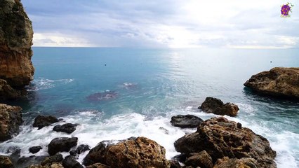 intro-logo-15-min-20220214-234410