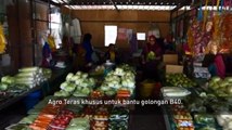 Ikon Agro: Usahawan Borneo rebut peluang ceburi bidang bisnes Agro