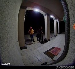 Bird on Porch Creates Chaos For Family Returning Home