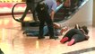 At least 20 arrested at St. Louis shopping mall
