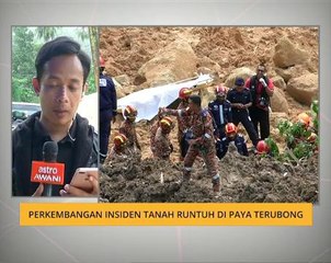 Perkembangan dari Paya Terubong, Georgetown