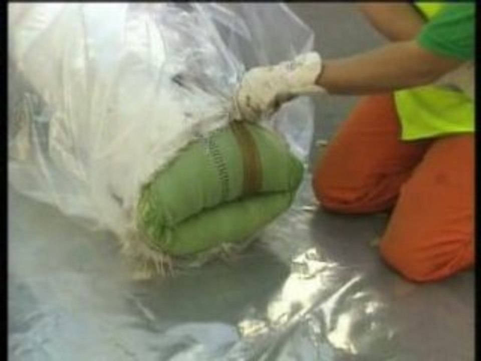 Phoenix - Diffusion web-MPEG-4 - Diffusion web