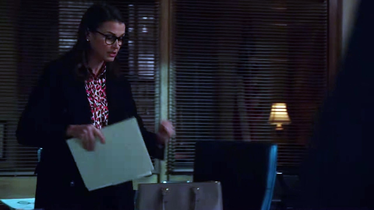 Blue Bloods 12x14