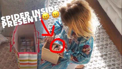 FUNNY BIRTHDAY PRESENT SPIDER SURPRISE!