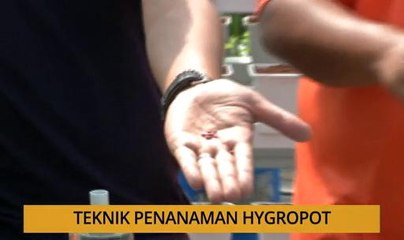 Tanam : Teknik penanaman hygropot
