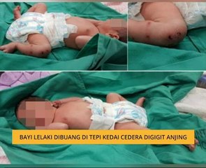 Bayi lelaki dibuang di tepi kedai cedera digigit anjing