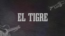 Enigma Norteño - El Tigre