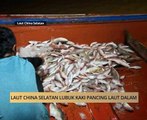 AWANI - Kelantan: Laut China Selatan lubuk kaki pancing laut dalam