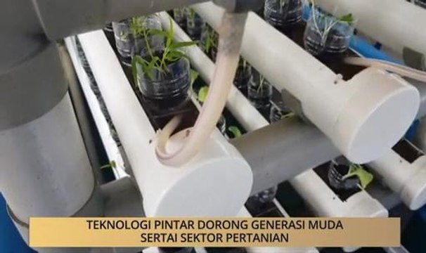 AWANI - Sarawak: Teknologi pintar dorong generasi muda sertai sektor pertanian