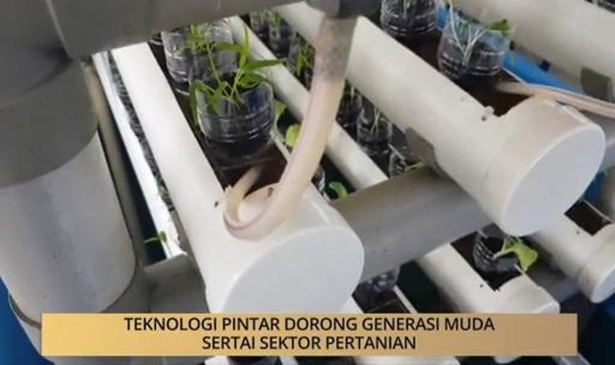 AWANI - Sarawak: Teknologi pintar dorong generasi muda sertai sektor pertanian