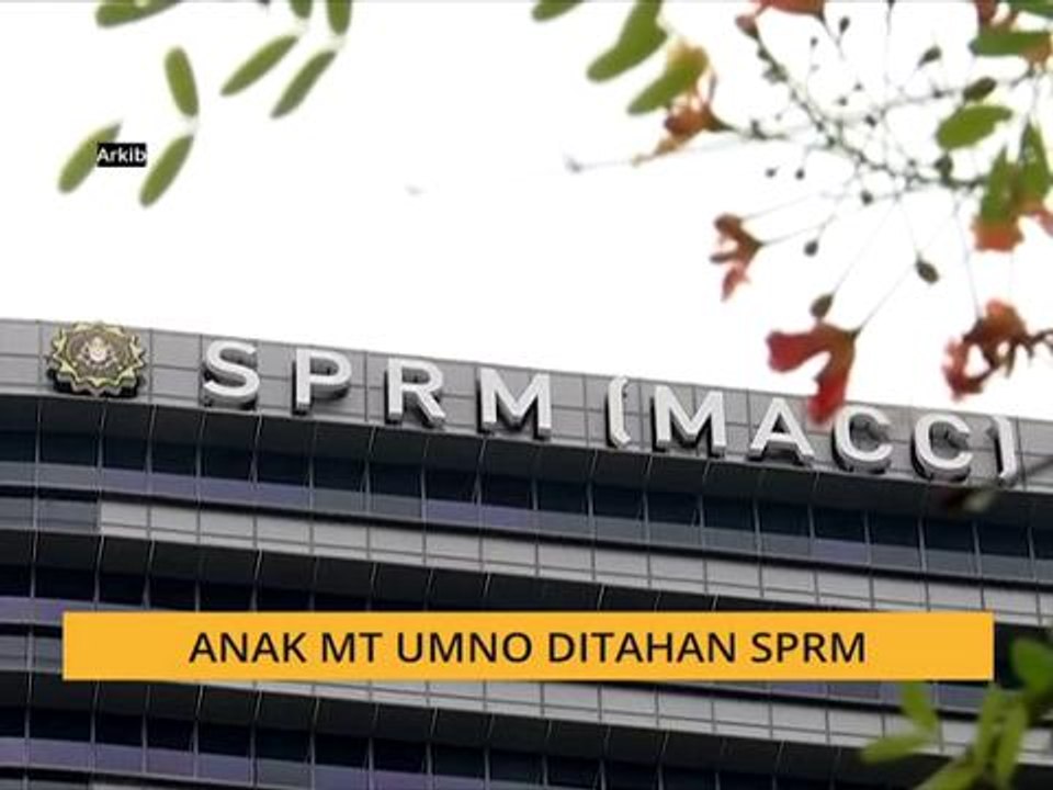 Anak MT UMNO ditahan SPRM
