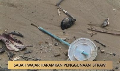 AWANI - Sabah: Wajar haramkan penggunaan 'straw'