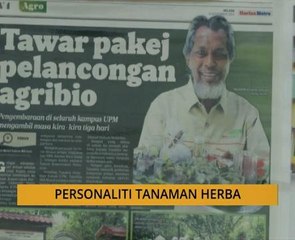 Tanam: Personaliti tanaman herba