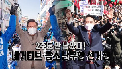 [영상] 네거티브 꽃이 피었습니다 / YTN