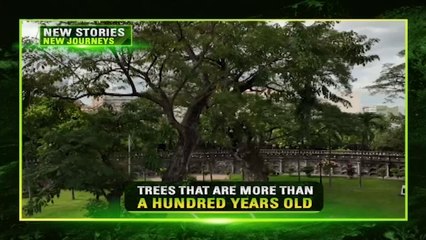 Amazing Earth: The silent living witnesses | Teaser Ep. 194