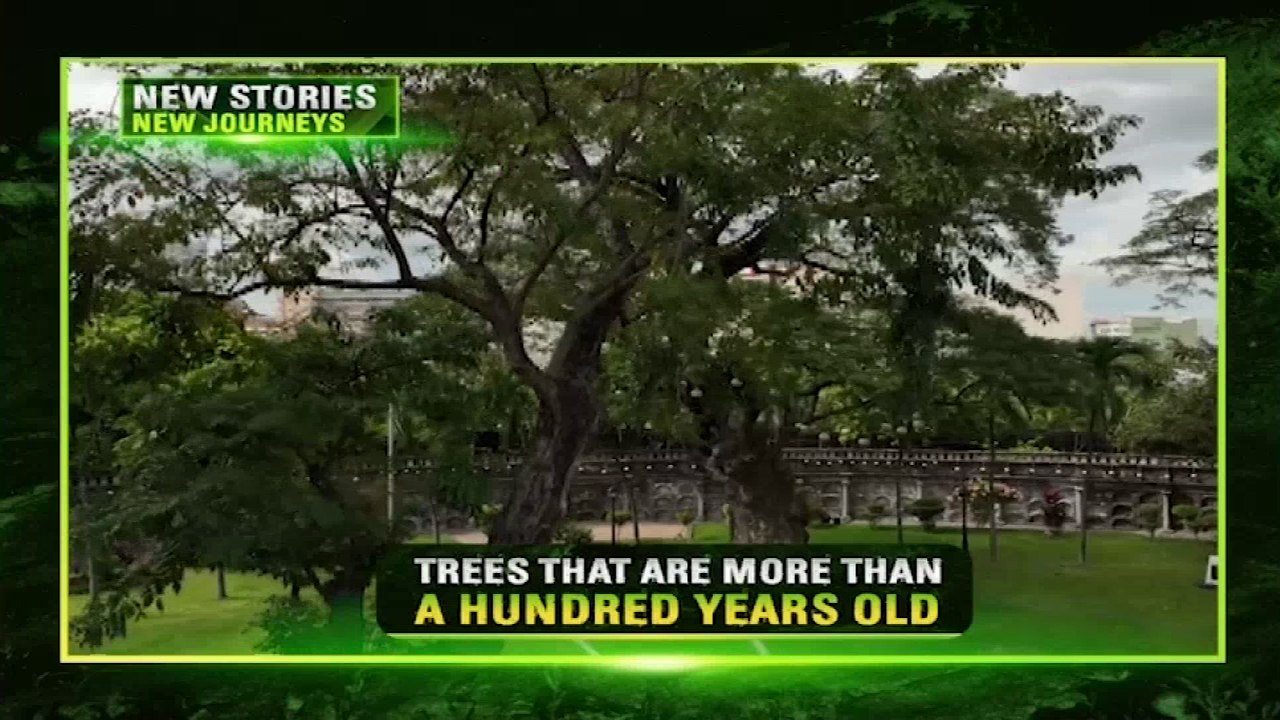 Amazing Earth: The silent living witnesses | Teaser Ep. 194