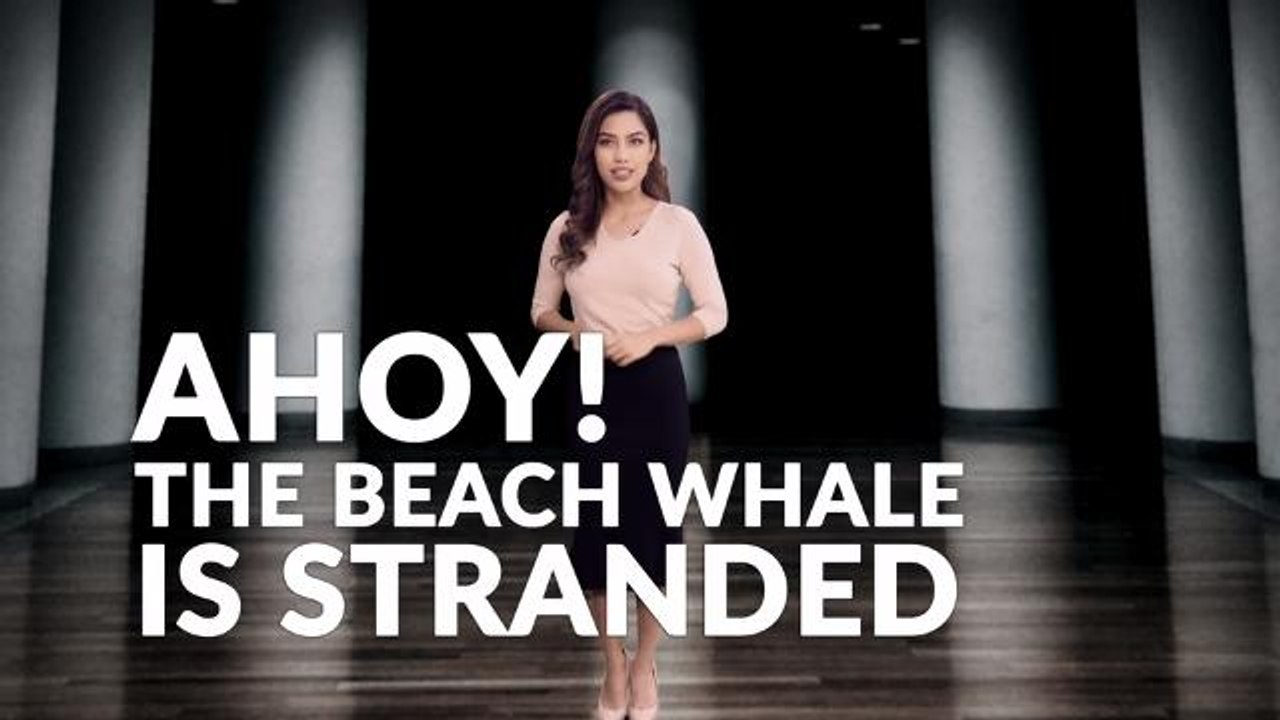 Data & Trends: Ahoy! The Beach Whale Is Stranded