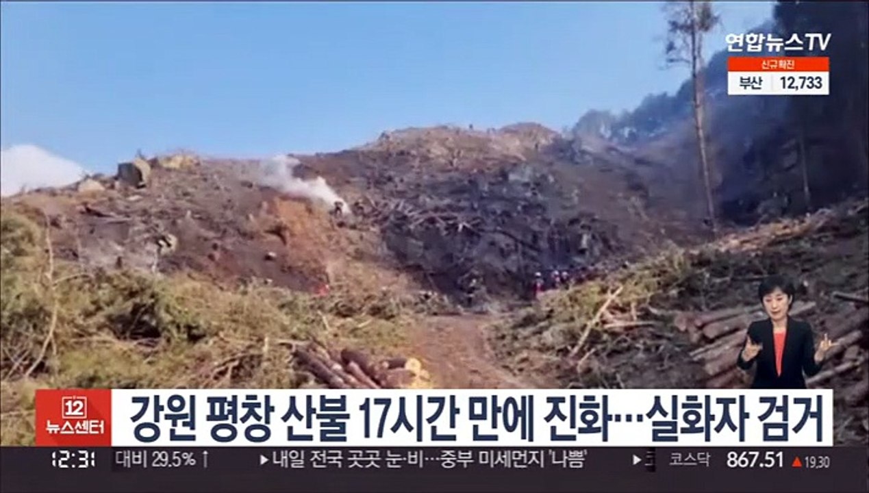 강원 평창 산불 17시간 만에 진화…실화자 검거