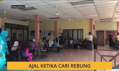 Ajal ketika cari rebung