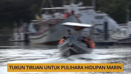 Kalendar Sarawak: Tukun tiruan untuk pulihara hidupan marin
