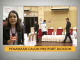 Penamaan calon PRK Port Dickson