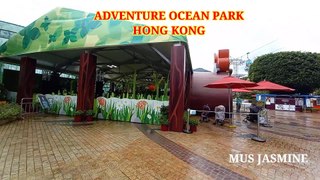 ADVENTURE || OCEAN PARK || HONG KONG