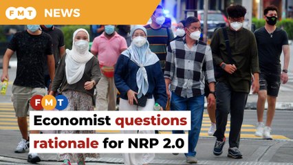 NRP 2.0 more of a plan for pre-election handouts, says economist