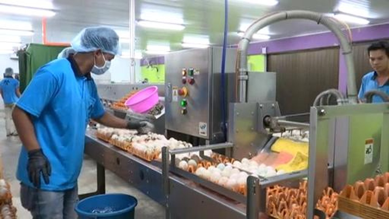 Ikon Agro: Impian besar usahawan agro