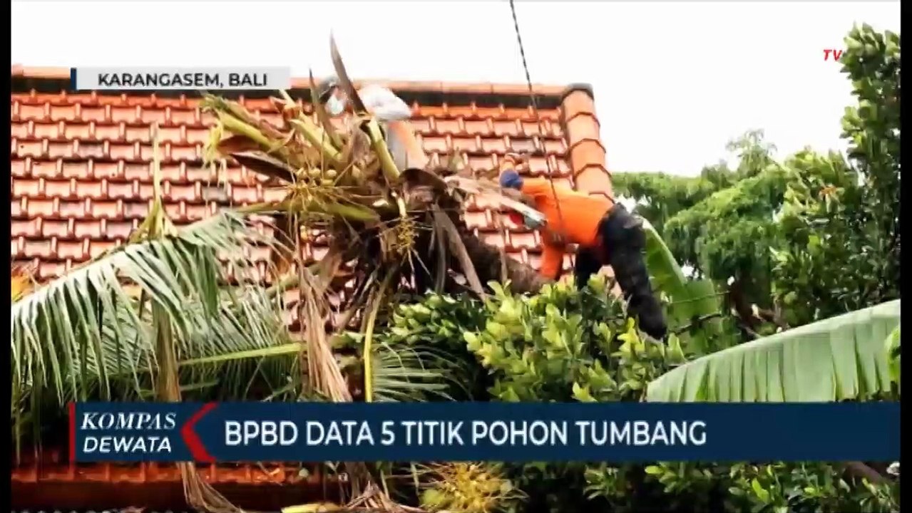BPBD Data 5 Titik Pohon Tumbang