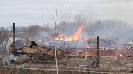 Watch: Key developments of Russia's Ukraine invasion