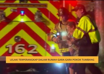 Lelaki terperangkap dalam rumah gara-gara pokok tumbang