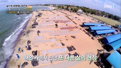 세계테마기행 - 아틀라스 바다 횡단기- 향기로운 섬, 스리랑카_#002