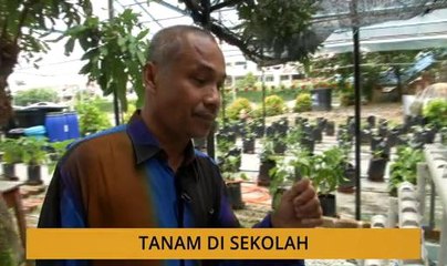 Tanam : Tanam di sekolah