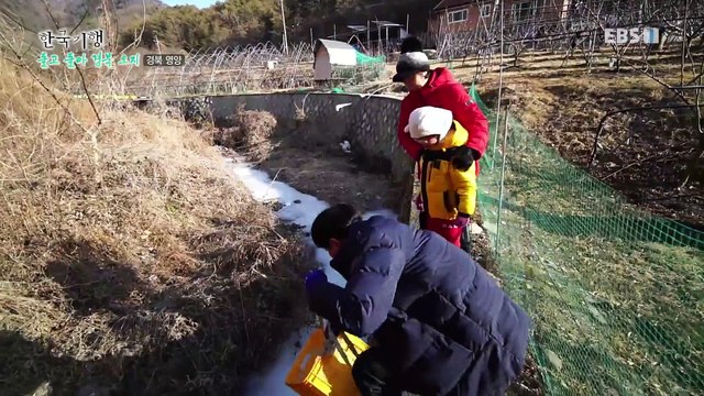 한국기행 - Korea travel_돌고 돌아 경북 오지 5부- 브라보 오지 라이프_#002