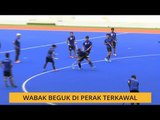 Wabak beguk di Perak terkawal