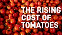 When Tomatoes Beat Onions In The Price-Surge Race