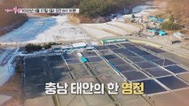 명희 엄마의 짠내나는 인생_엄마의 봄날 337회 예고 TV CHOSUN 220227 방송