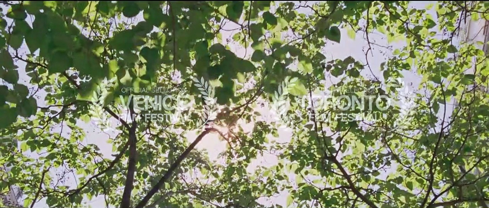 To the Wonder Tráiler