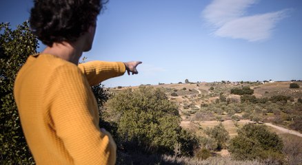 El negocio de las renovables amenaza con decenas de expropiaciones en Méntrida