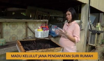 SME: Madu Kelulut jana pendapatan suri rumah